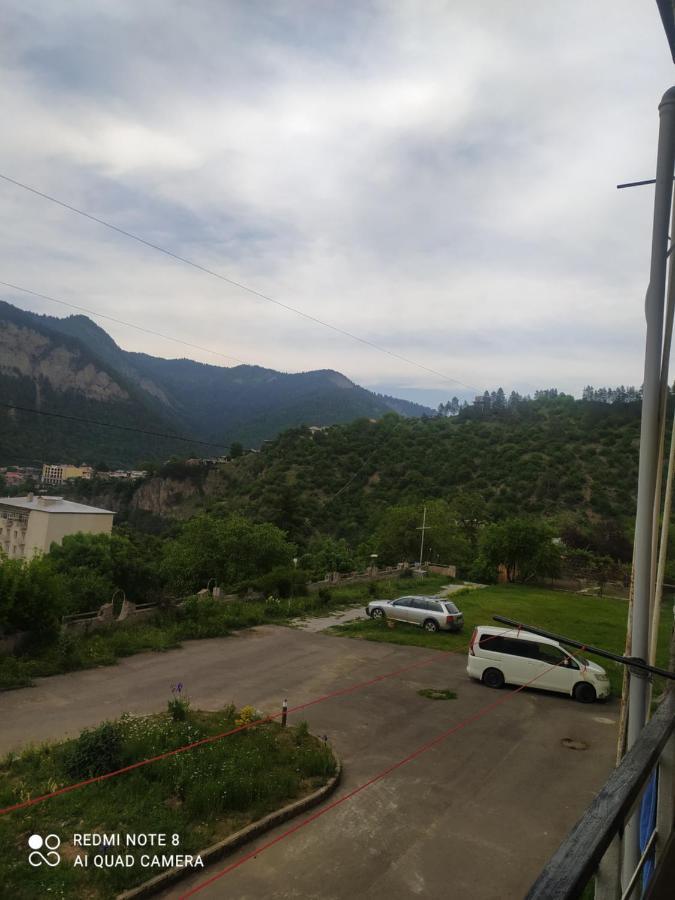 Alena'S Flat Apartamento Borjomi Exterior foto
